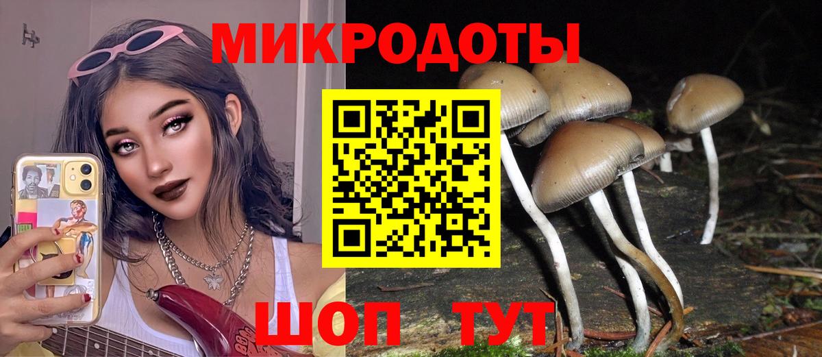 Псилоцибиновые грибы ЛСД  Вход с VPN  Норильск  Галлюциногенные грибы GOLDEN TEACHER 